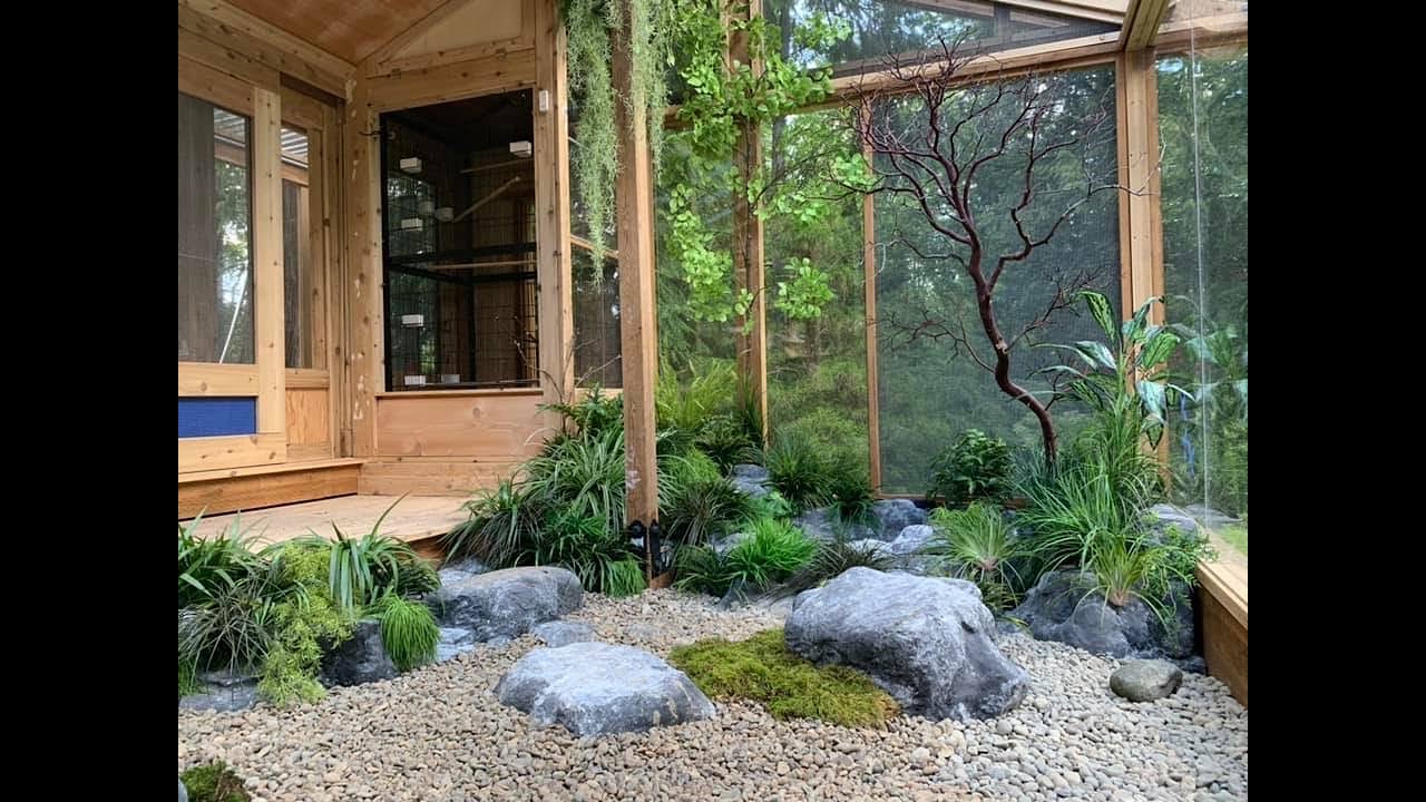 FINCH AVIARY BUILD (Part 1)