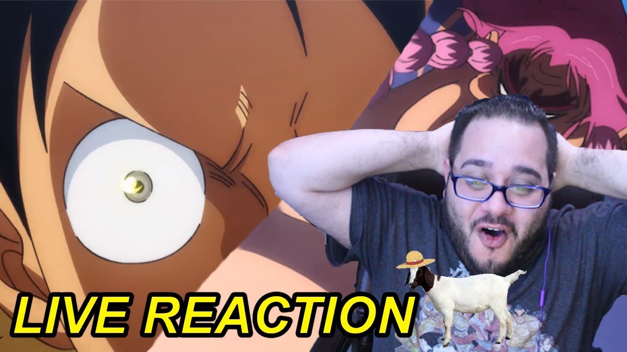 Conqueror S Haki Is So Epic One Piece Episode 902 Live Reaction Youtube