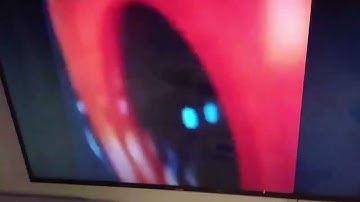 My Reaction That MediaWindowsMaker / COTCKE Got Terminated