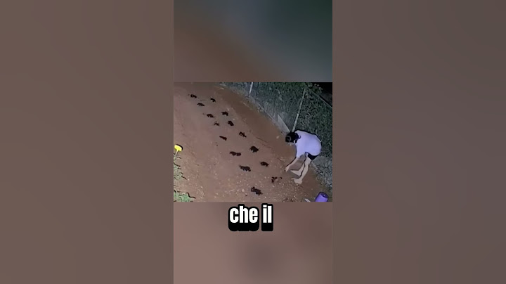 Perché questa donna non ha l’ombra?😳