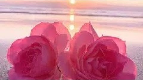 سورة غافر مكتوبة من (٣٤ إلى ٤٠) بصوت أيمن السويد 🌼🍃🌼