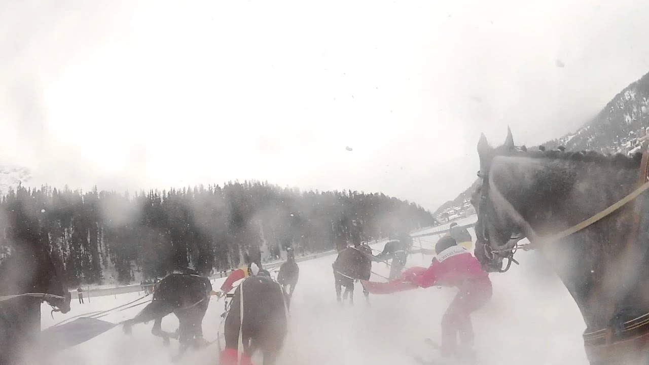 White Turf 2012 - Skikjöring by Yves von Ballmoos & Basmati