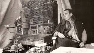 Louis-Ferdinand Céline - Entretiens de Meudon (1960) [Morceaux récupérés] by Artesquieu 7,633 views 2 months ago 1 hour, 41 minutes