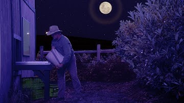 Nutrilite Traceability Step 5: Harvesting (Français) | Amway