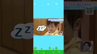 1歳児のお外遊びに密着!遊び過ぎてお昼ごはん中に・・・大阪市平野区「小市学園」 #shorts #読売テレビニュース #ZIPかんさい #すくすくウォッチ #子ども