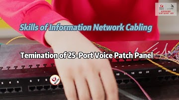 Termination of 25-Port Voice Patch Panel