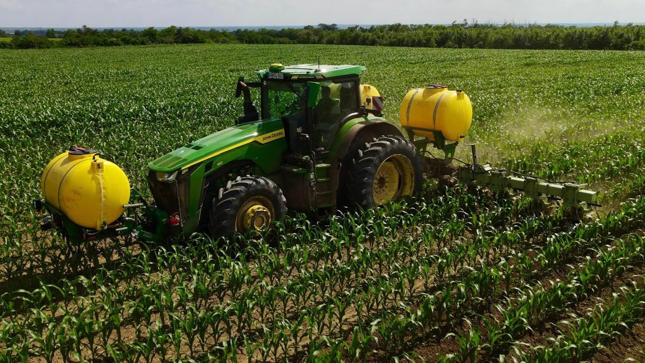 MTZ 820 Kukorica sorközművelés / Cultivating corn / *HD*