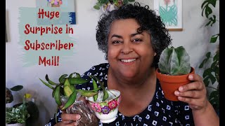 Subscriber Plant Mail Unboxing | Huge Surprise in Subscriber Mail