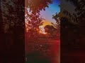 Timelapse IPhone XR #shorts