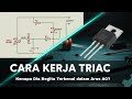 Cara Kerja TRIAC: Rahasia Mengatur Arus AC (Lampu &amp; Motor)"