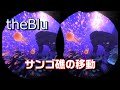 【STEAM VR】「the Blu」 サンゴ礁の移動 スマホＶＲ用 3D動画