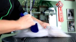 видео: Профессиональный груминг картинка: Профессиональный груминг