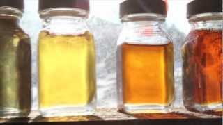 The Sweet Life: Vermont Maple Syrup