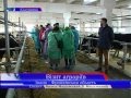 На базі т ва Даноша відбувся обласний семінар начальників агропромислового комплексу і фермерів На базі т ва Даноша відбувся обласний семінар начальників агропромислового комплексу і фермерів