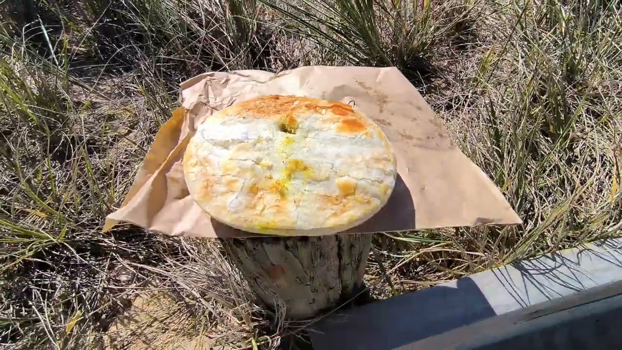 Looking at Loch Sports Surf Beach Victoria Australia 