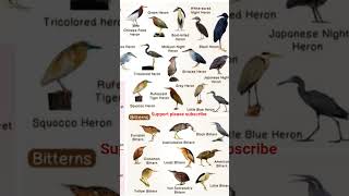 #heron,egret#viral#birds#trending#youtubeshorts#shortsfeed#gk#shorts
