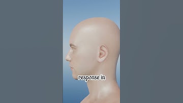 Why Popping Bubble Wrap Feels So Good 😊#shorts