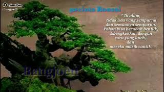 Bonsai indah story WA.