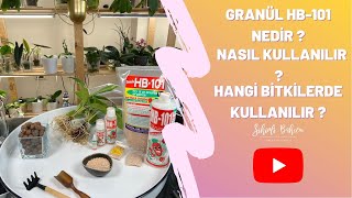 Granül HB-101 Nedir ? Nasıl Kullanılır ? Hangi Bitkilerde Kullanılır ?