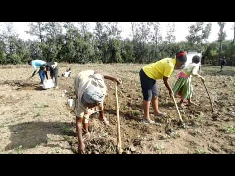 Familie Maina auf ihrem 2000 m² -Acker | Gilgil, Kenia