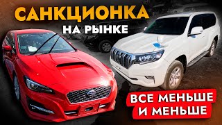 САНКЦИОННЫЕ АВТО НА РЫНКЕ❗️ БОЛЬШОЙ ОБЗОР❗️ ГИБРИДЫ❗️ МИНИВЭНЫ❗️ КРОССОВЕРЫ и не только❗️