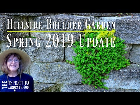 Hillside Boulder Garden Tour - How Has It Grown for 2019?