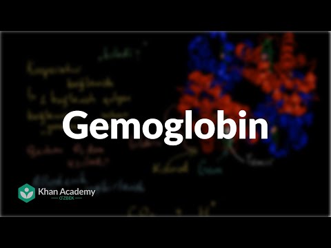 Gemoglobin | Odam biologiyasi | Biologiya