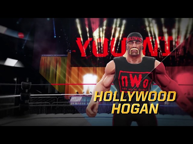 Who Is Hulk Hogan's Wife? All About Sky Daily