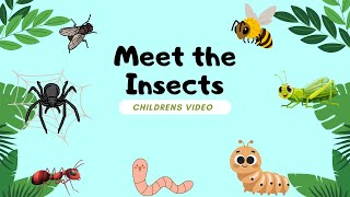 Amazing Insect Facts, for Kids!!!