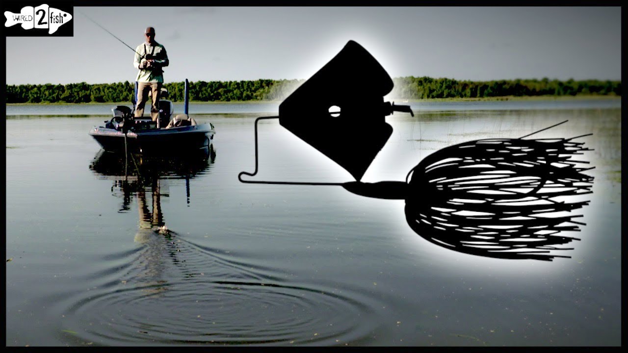 Carlisle Bass Fishing - Data Lake - Learn and share Bass Fishing secrets