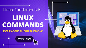 Top Basic Red Hat Linux Commands for Beginners | RHEL Command Line Tutorial | DAY 2
