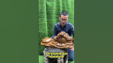 Cóc hũ vàng ngang 50cm gỗ xá xị