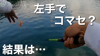 【超パワーファイター】のべ竿を思いっきり曲げる、青目の魚を狙う。【水の旅＃ ７２】