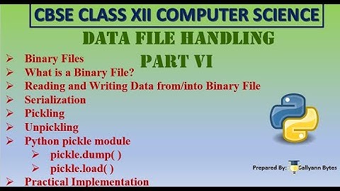 Binary Files in Python | Data File Handling (Part 6) | CBSE Class 12 Computer Science | Python