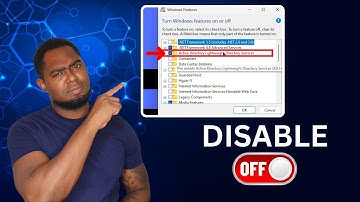 How to Disable Active Directory Lightweight Directory Services on Windows 10/11