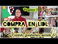 COMPRA EN LIDL para una Familia Numerosa/Cuánto GASTAMOS? #familianumerosa#lidl#ahorro#menu