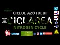 Ciclul Azotului,  Nitrogen Cycle,  English Subtitle