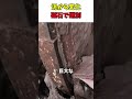 鉄だけ集める工程