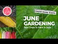 GROW RARE SEEDS | What To Plant In June