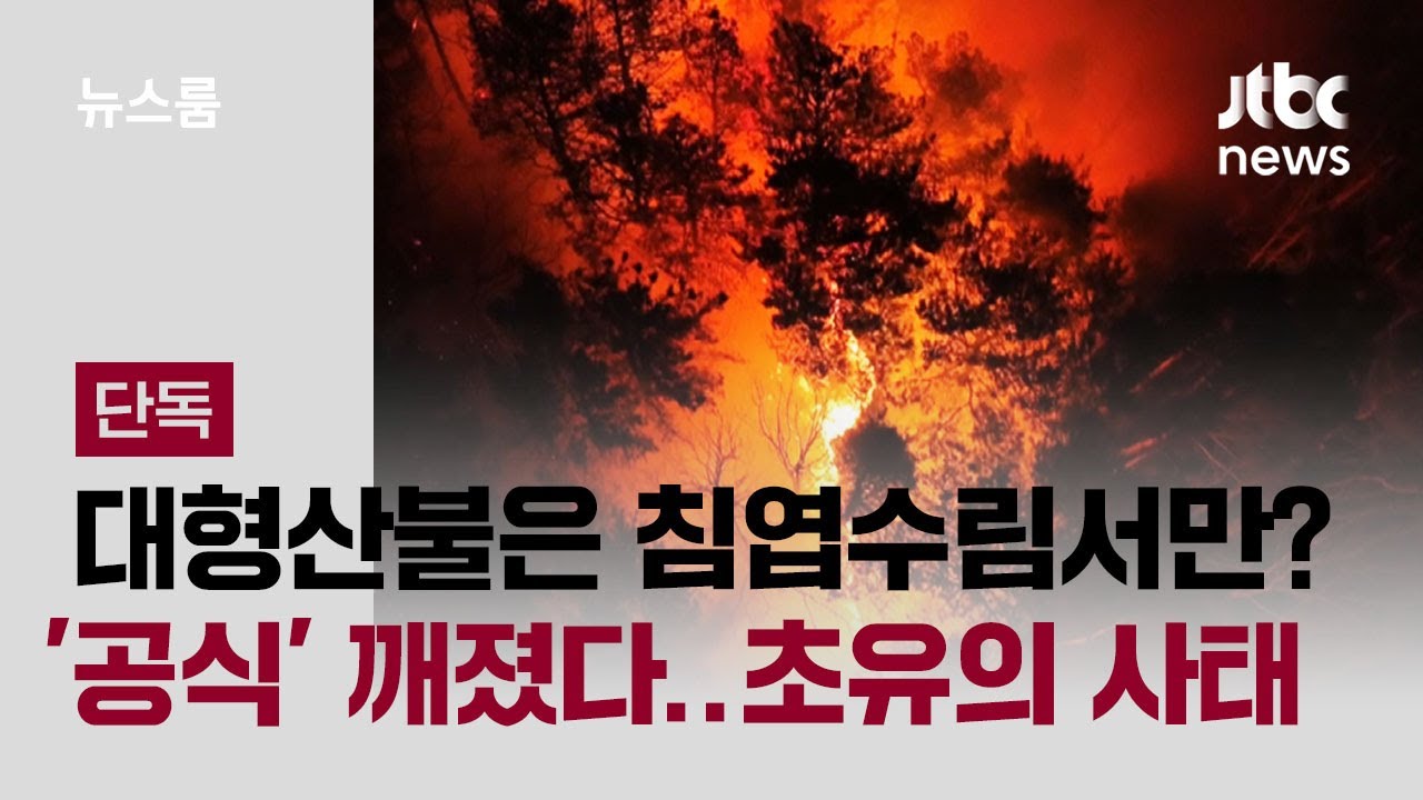 [단독] 활엽수림 최초 대형산불…이상기후가 깬 '산불 공식' / JTBC 뉴스룸