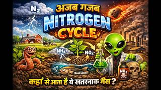 nitrogen cycle #class8science #8science #nitrogencycle #nitrogenfixation #gkinhindi scienceexplained