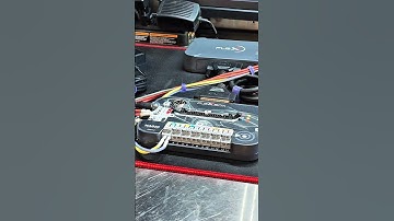 Magic Motorsport Flex