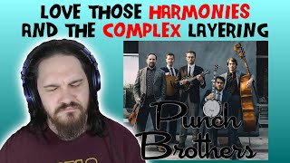 Composer/Musician Reacts to Punch Brothers - Familiarity (REACTION!!!)