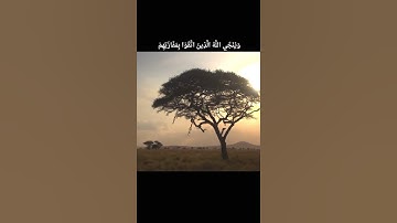 ويوم القيامة ترى الذين كذبوا على الله تلاوة خاشعة ومؤثرة 🖤🎧