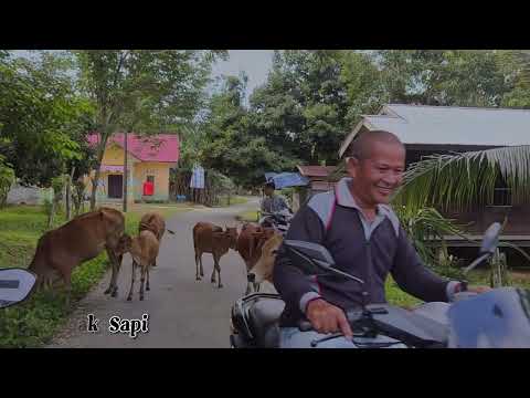[Kelompok 37 KKN