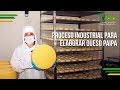 Proceso Industrial para Elaborar Queso Paipa - TvAgro por Juan Gonzalo Angel