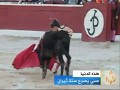 صبي يصرع ستة ثيران 