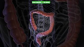 #shortsviral #viral #biology #इतिहासके10प्रश्र #anatomy #shortvideos #science #viralvideos