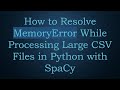 How to Resolve MemoryError While Processing Large CSV Files in Python with SpaCy