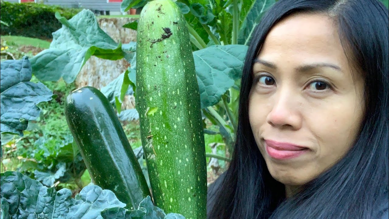 Fall Garden Tour PNW Zone 8b YouTube